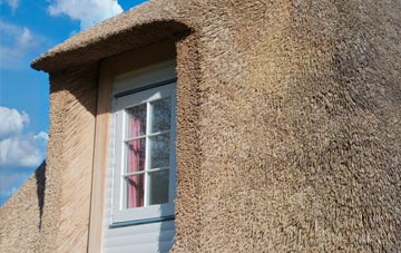 Biscot thatch roof disadvantages